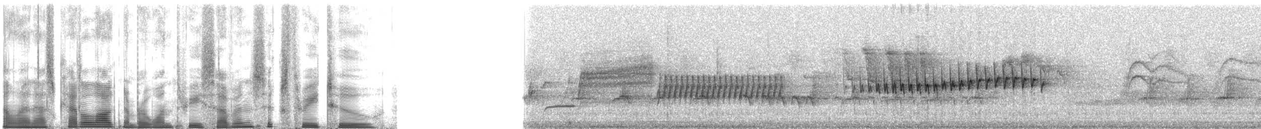 Orange-crowned Warbler (lutescens) - ML137632