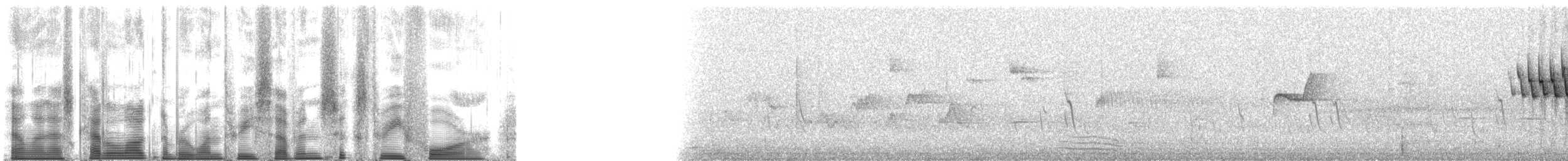 Orange-crowned Warbler (lutescens) - ML137634