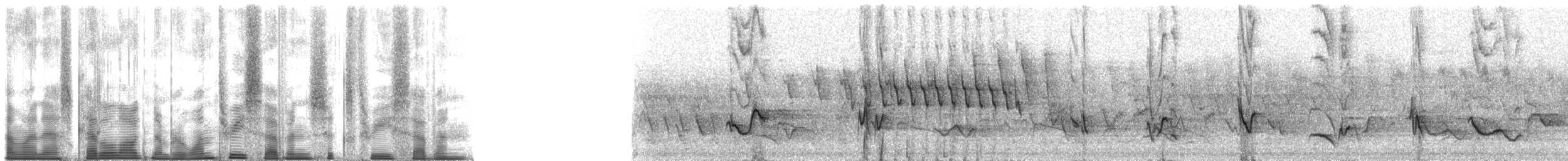 Orange-crowned Warbler (lutescens) - ML137637