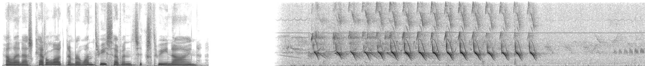 Northern Cardinal - ML137639