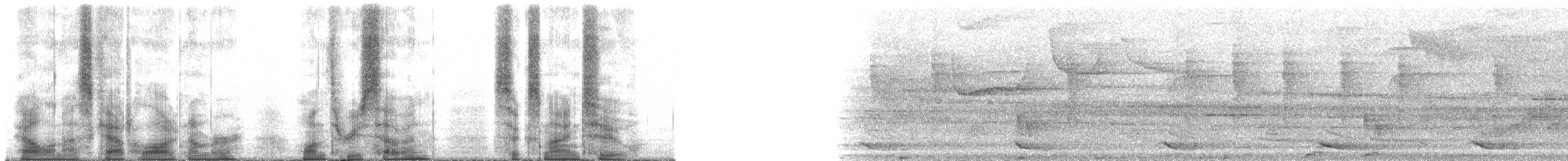 kvesal chocholatý (ssp. mocinno) - ML137692
