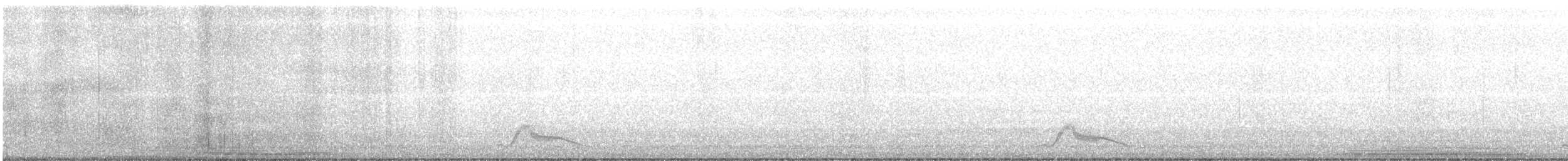 Pauraquenachtschwalbe - ML137692191