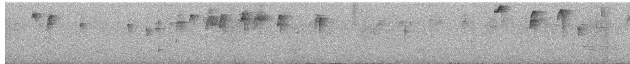 Chlorospin du Tacarcuna - ML137722181