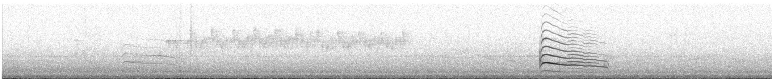 Канюк плямистогрудий - ML137731001