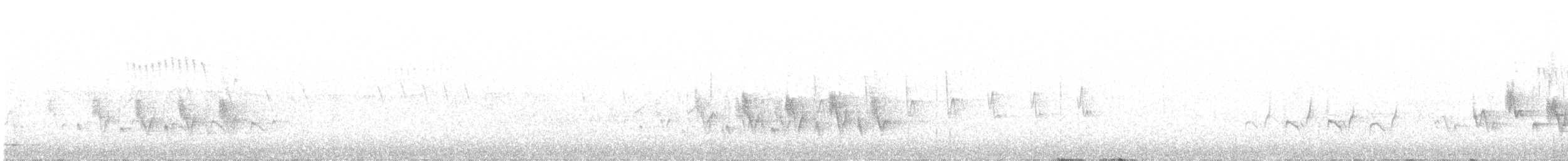 Kanarya Adaları İspinozu (canariensis/ombriosa) - ML137762601