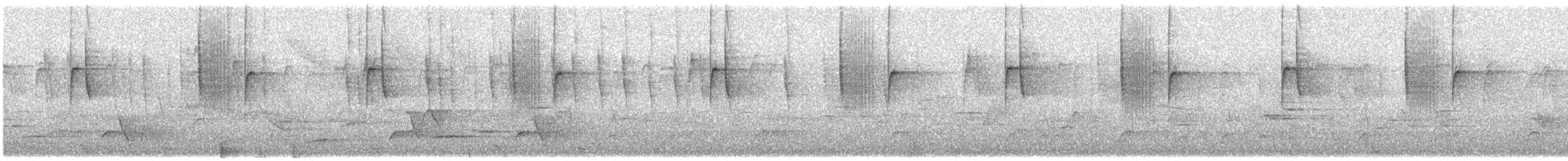 Steely-vented Hummingbird - ML137776231