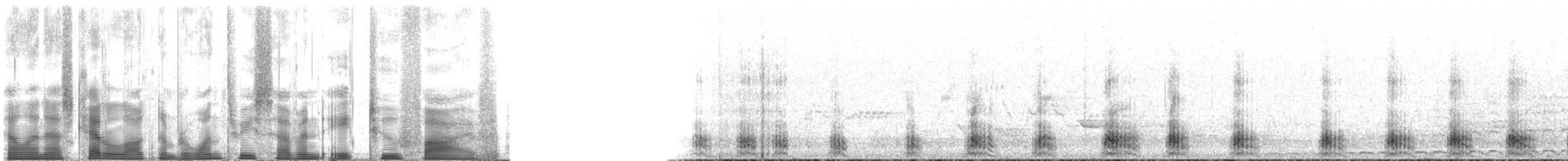 Fuligule milouinan - ML137825