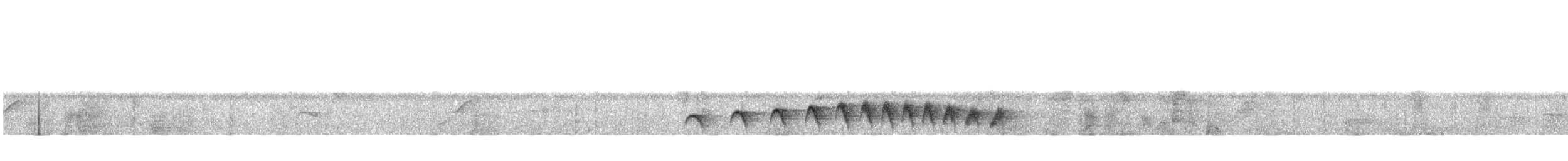 Nordamazonien-Ameisenschnäpper - ML137829471