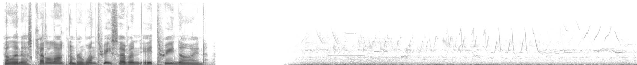 Northern Waterthrush - ML137839