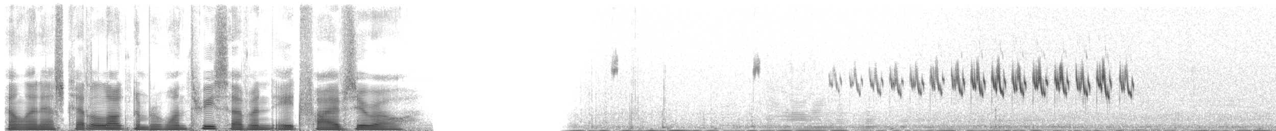 Arctic Warbler - ML137850