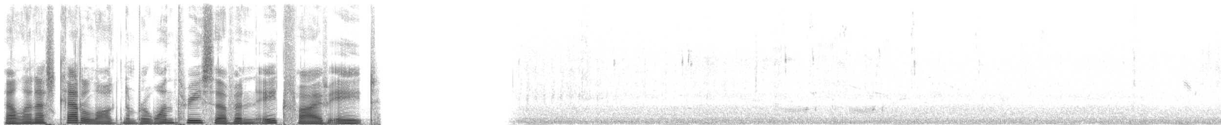 Weißbürzel-Strandläufer - ML137858
