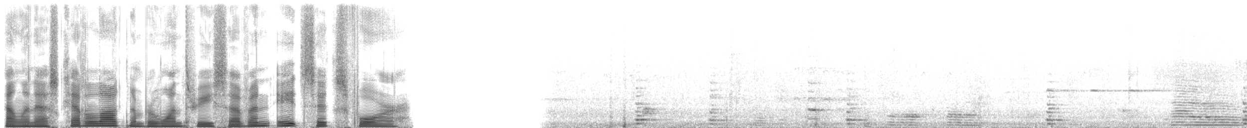 Pelagic Cormorant - ML137864