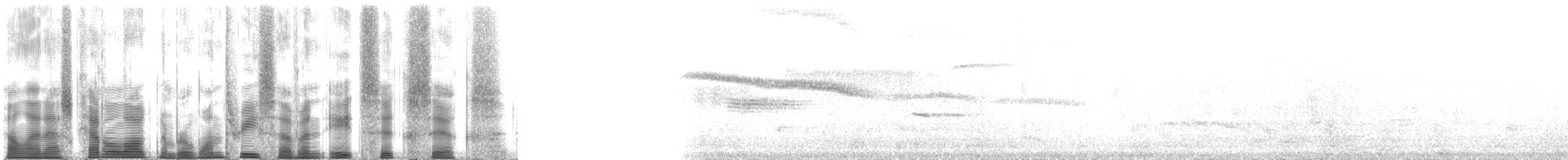 Pelagic Cormorant - ML137866