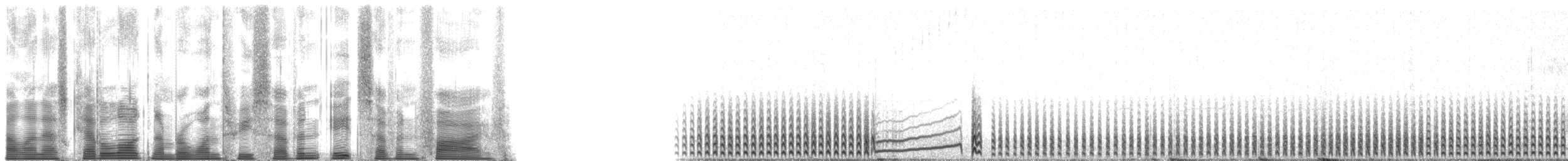 Paíño Boreal (leucorhoa) - ML137875