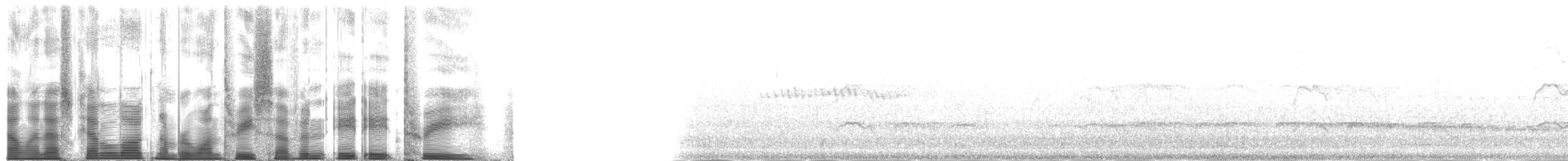 Black Oystercatcher - ML137883