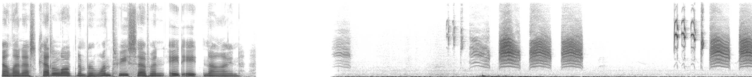 Gray-headed Chickadee - ML137889