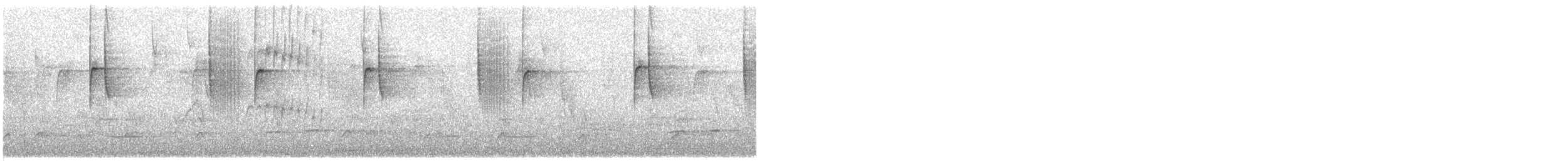 White-booted Racket-tail - ML137905001