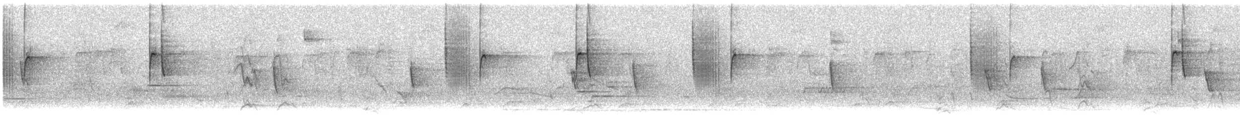 Steely-vented Hummingbird - ML137913991