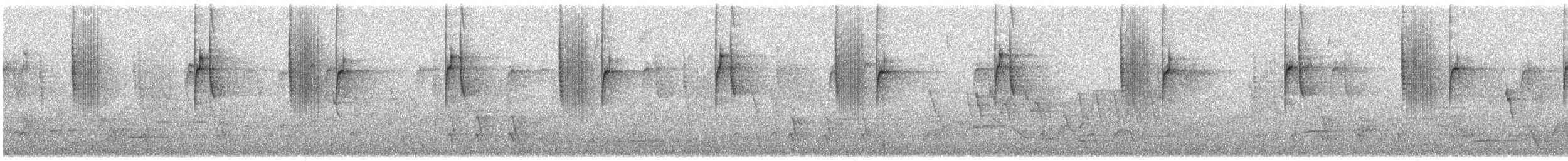 Steely-vented Hummingbird - ML137954981