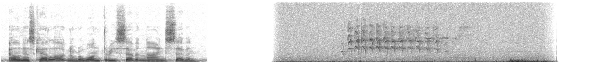 American Robin - ML13797