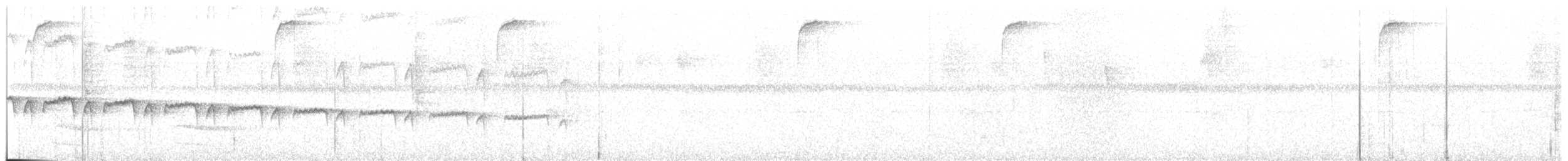 Мурав’янка-куцохвіст плямиста - ML137978801