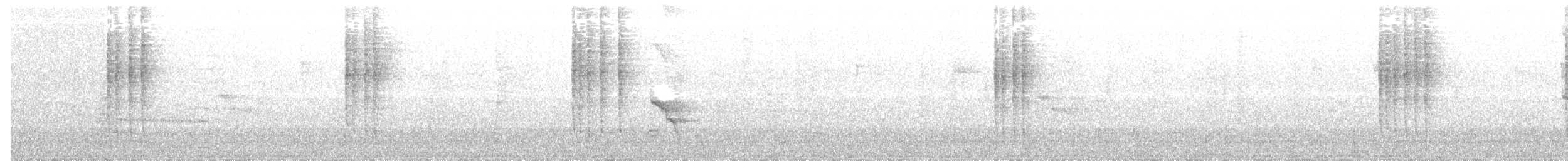 Troglodyte à poitrine blanche - ML138054611