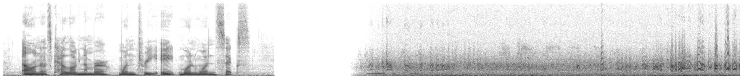 Качурка північна (підвид качурка chapmani) - ML138116