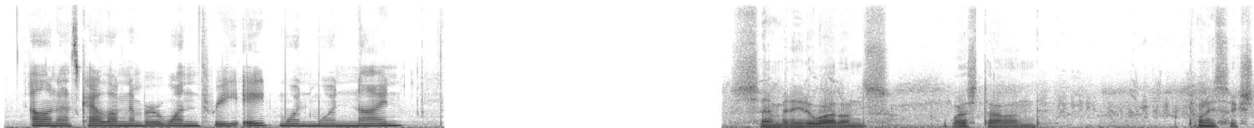 Leach's Storm-Petrel (Chapman's) - ML138119