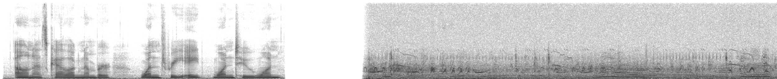 Leach's Storm-Petrel (Chapman's) - ML138121