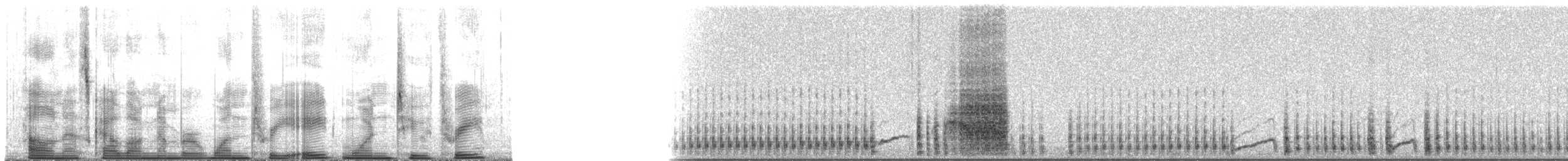 Leach's Storm-Petrel (Leach's) - ML138123