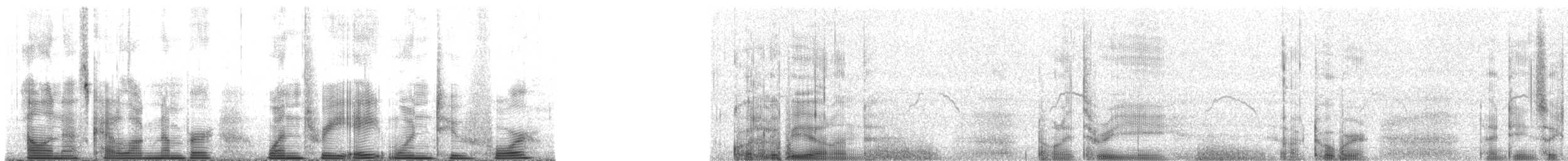 Ainley's Storm-Petrel - ML138124