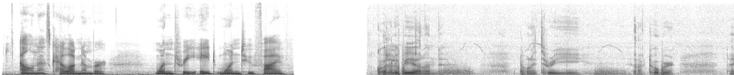 Ainley's Storm-Petrel - ML138125