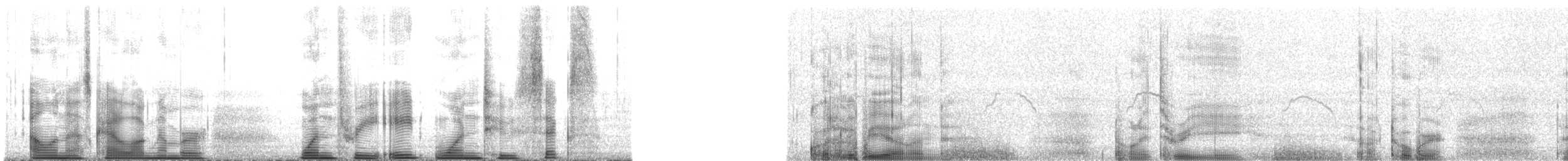 Ainley's Storm-Petrel - ML138126