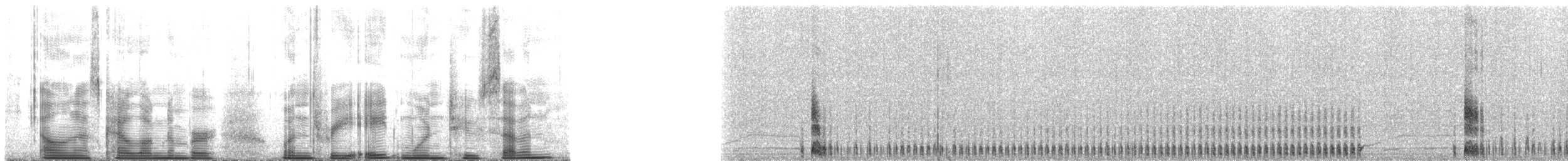 Ainley's Storm-Petrel - ML138127