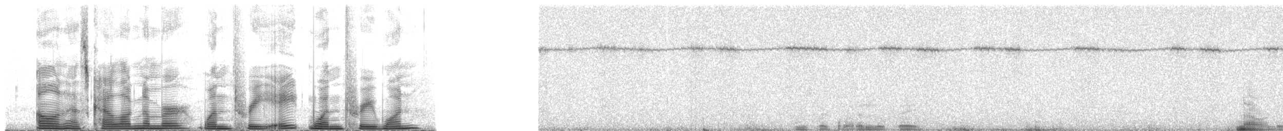 Летняя качурка - ML138131