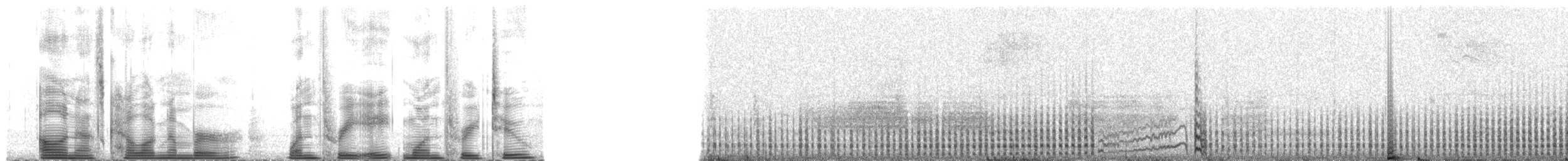 Townsend's Storm-Petrel - ML138132