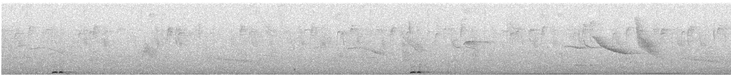 Andean Motmot - ML138134651