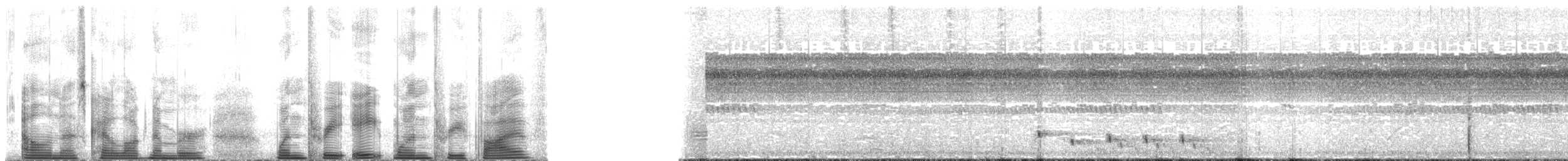 Chotacabras de Todd - ML138135