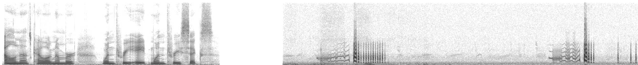 Townsend's Storm-Petrel - ML138136