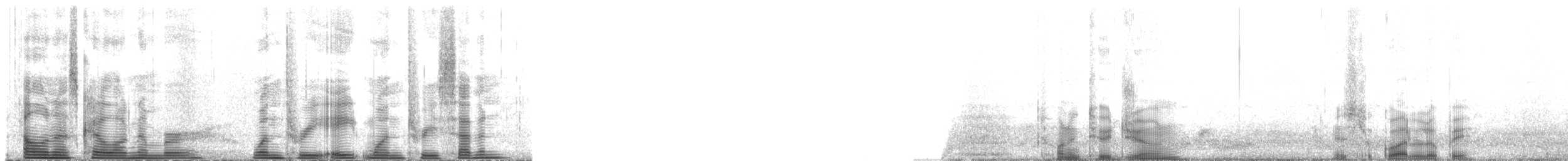 Townsend's Storm-Petrel - ML138137