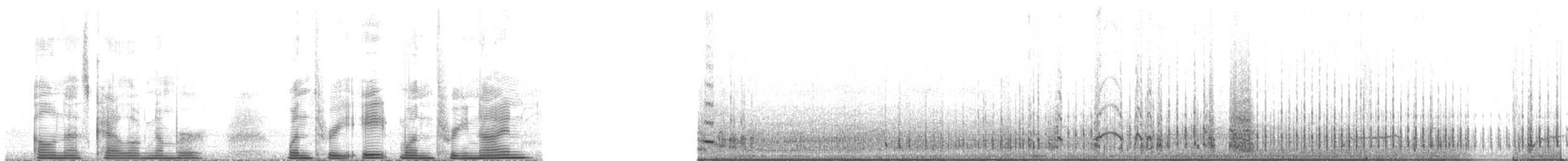 ススイロウミツバメ - ML138139