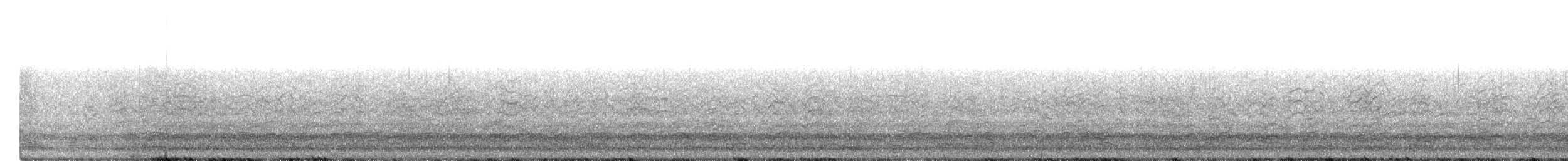 Snow Goose - ML138139261