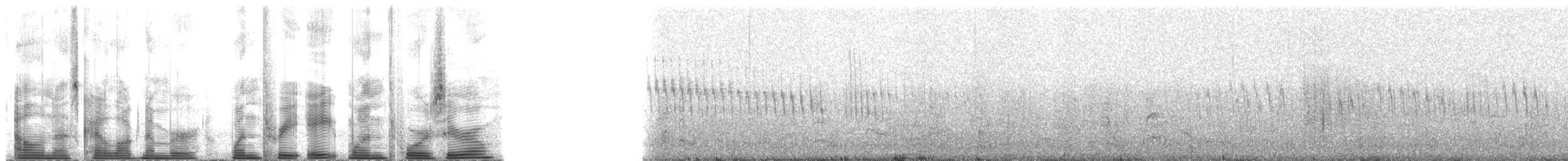Townsend's Storm-Petrel - ML138140