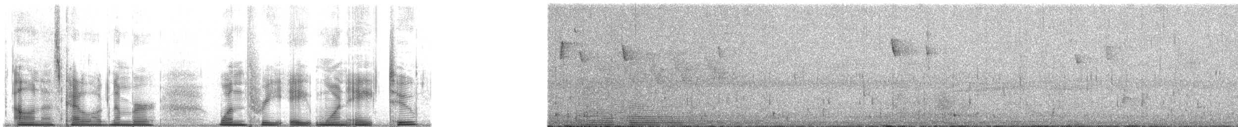 Safran Başlı Tangara - ML138182