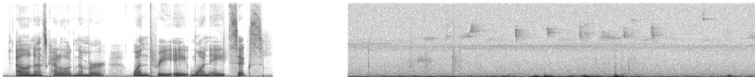 Kestane Taçlı Kotinga - ML138186