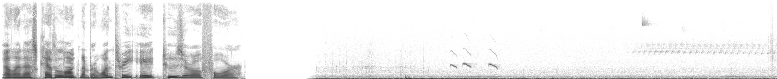 granjerpe (canadensis gr.) - ML138204