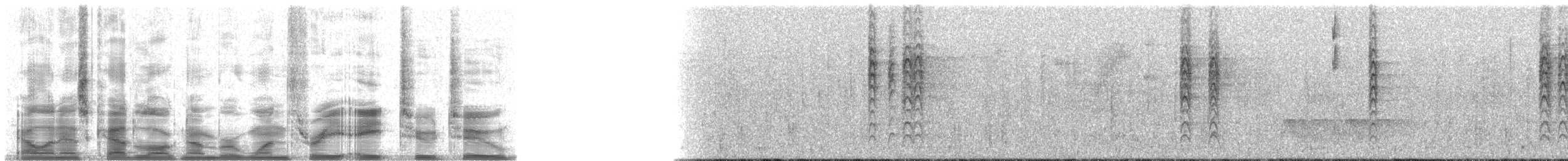 Black-eared Hemispingus (Black-eared) - ML13822