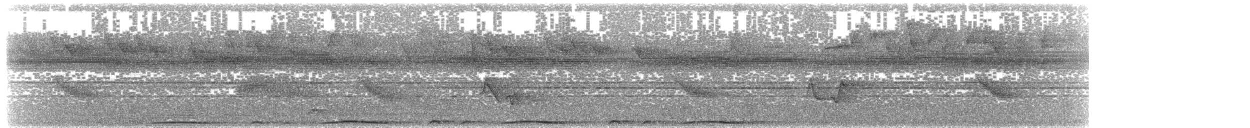 holub neotropický - ML138224951