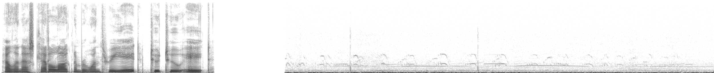 Plongeon du Pacifique - ML138228