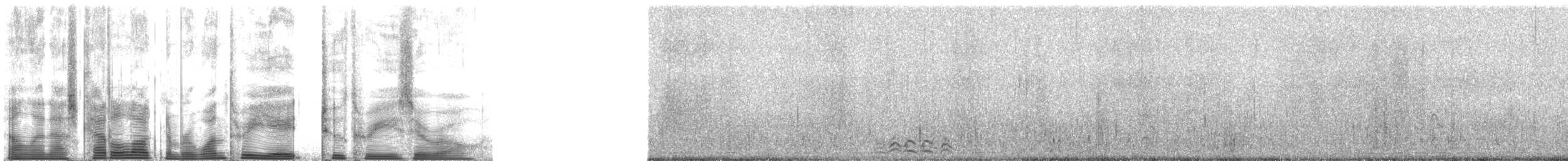 Plongeon à bec blanc - ML138230